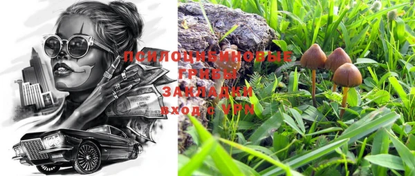 прущая мука Армянск