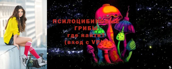 прущая мука Армянск