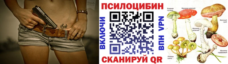 закладка мега ССЫЛКА Галлюциногенные грибы Psilocybine cubensis Островной